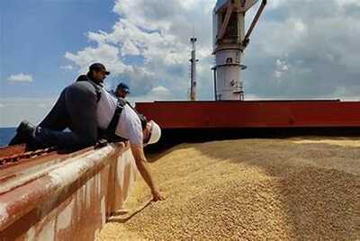GRAIN